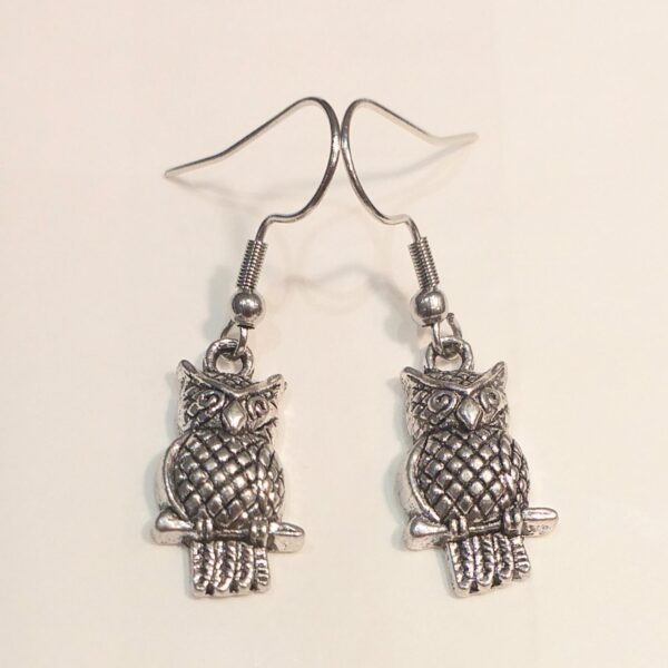 Découvrez nos boucles d'oreilles "Hiboux" en acier inoxydable, l'association parfaite de style et de confort grâce à leurs attaches anti-allergiques. Avec des pendentifs en forme de hibou de 1.7 cm de hauteur, ces boucles d'oreilles présentent une taille totale de 3.7 cm. Leur design sophistiqué fait qu'il allient élégance et durabilité. Ces boucles d'oreilles sont tout simplement charmantes. Leur design délicat ajoute une touche de grâce à votre look. Optez pour le mariage parfait entre beauté et qualité avec nos boucles d'oreilles "Hiboux", l'accessoire qui incarne l'élégance.